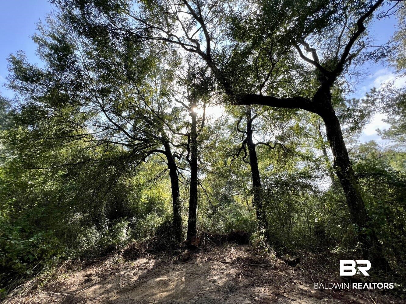 0 Bear Fork Road Mobile, AL 36618 - Photo 2 of 50