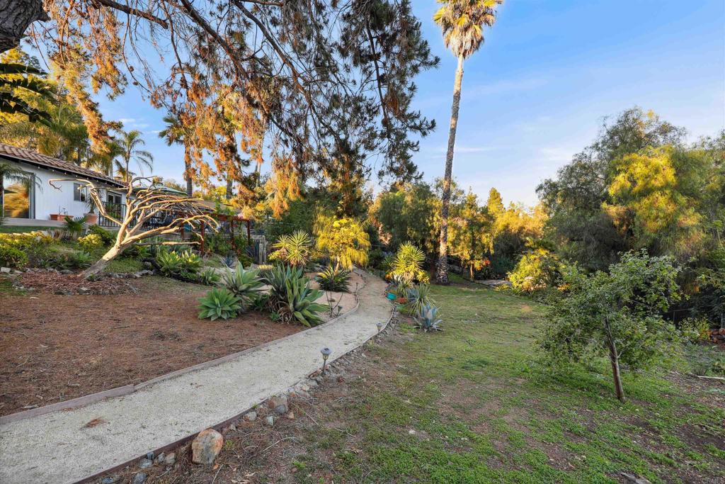 826 Ora Avo Drive Vista, CA 92084 - Photo 43 of 52 a big yard with lots of green space