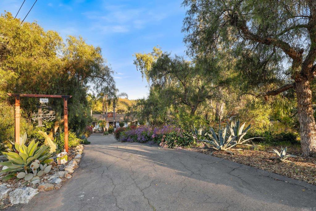 826 Ora Avo Drive Vista, CA 92084 - Photo 47 of 52 a view of path along with trees