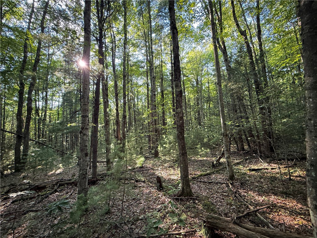 Wright Road Candor, NY 13743 - Photo 18 of 33 Gallery Image 18