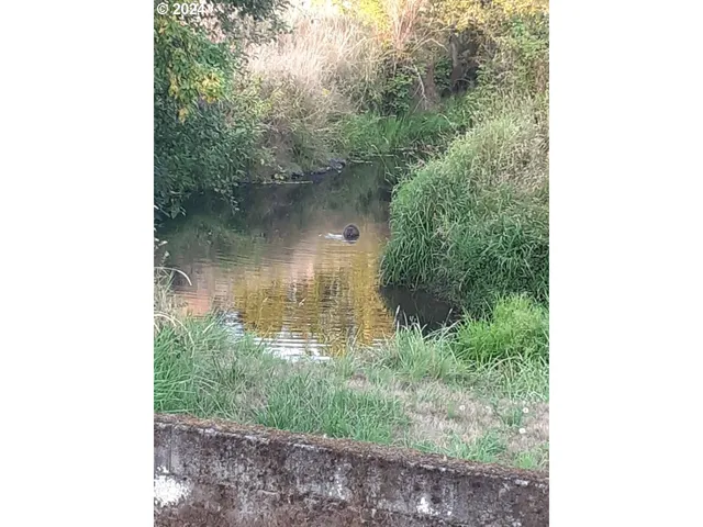 $340,000 | 53194 Columbia River Highway, Scappoose, OR 97056