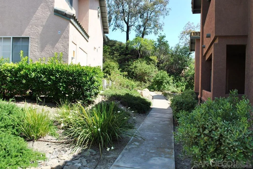 17161 Alva Road, Unit 221 San Diego, CA 92127 - Photo 2 of 26 a view of a pathway with plants and large trees