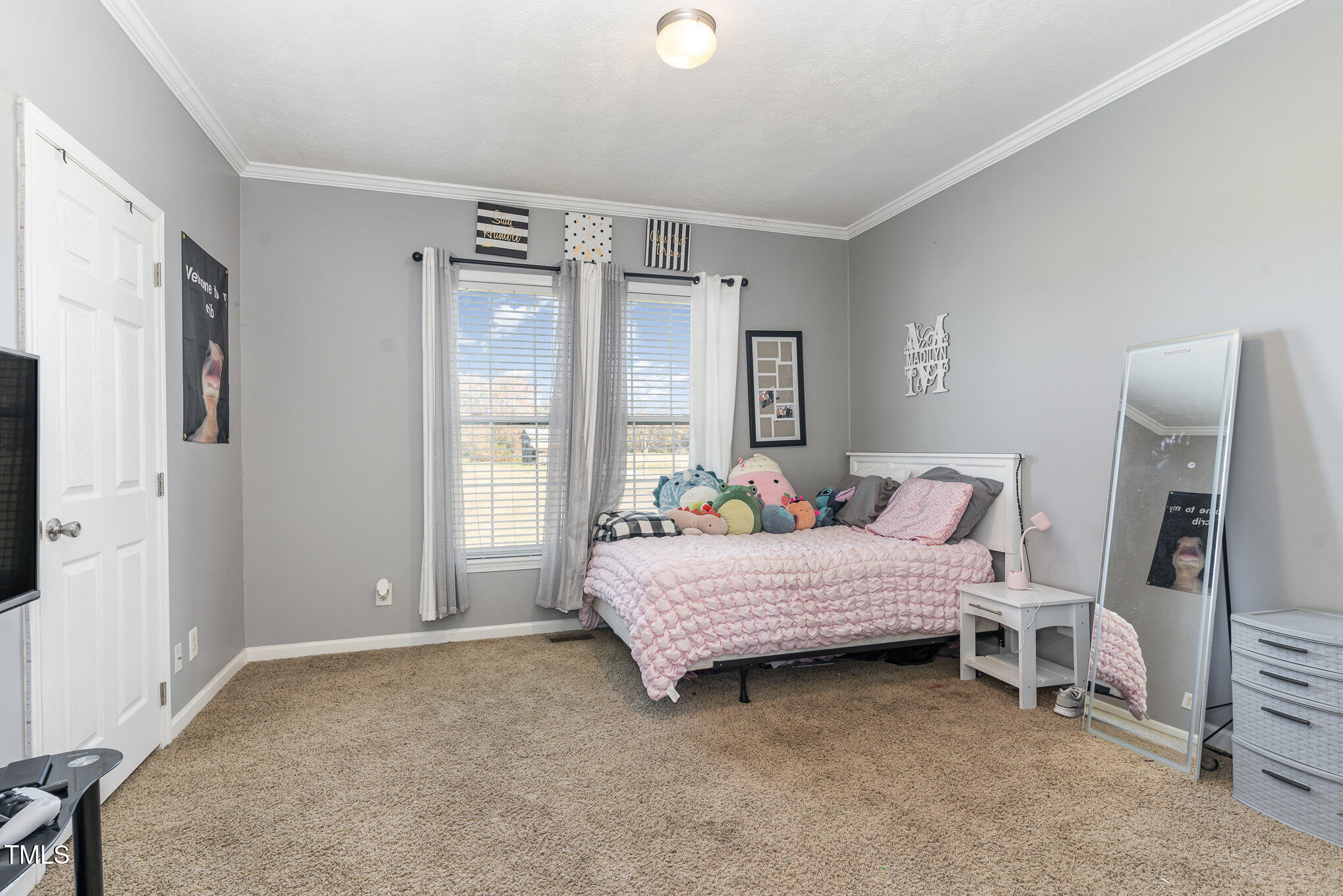 841 Crows Foot Road Mount Olive, NC 28365 - Photo 18 of 29 019_file_325