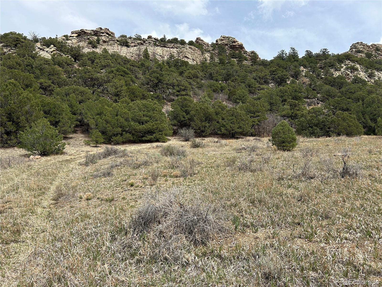0 Pass Creek Road Gardner, CO 81040 - Photo 6 of 28