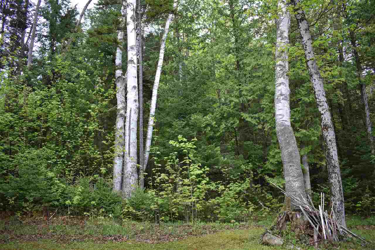 440 Stone Shore Glover, VT 05839 - Photo 24 of 32