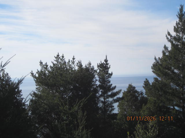 2715 Toth Road Shelter Cove, CA 95589 - Photo 7 of 27 IMG_0756