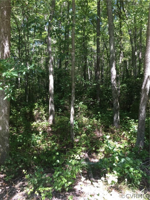 19120 Church Road Petersburg, VA 23803 - Photo 1 of 2 Gallery Image 1