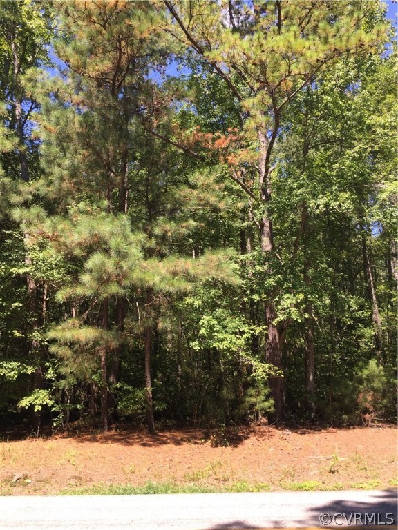 19120 Church Road Petersburg, VA 23803 - Photo 2 of 2 Gallery Image 2
