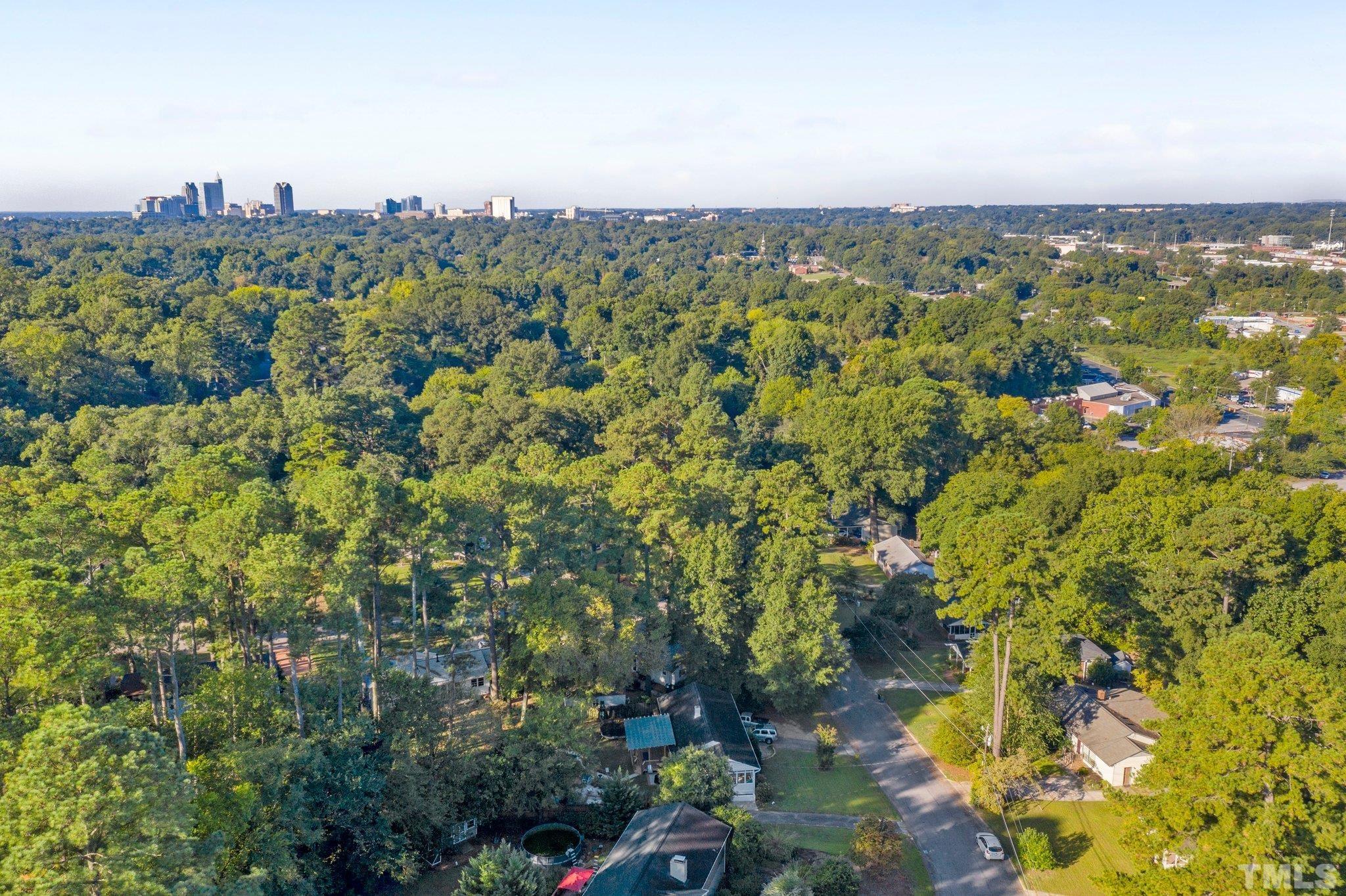317 Quail Drive Raleigh, NC 27604 - Photo 26 of 29 a view of a city