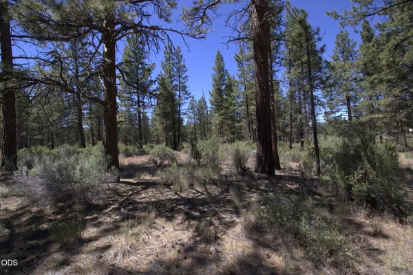 $15,500 | Pow Wow Lane, Chiloquin, OR 97624