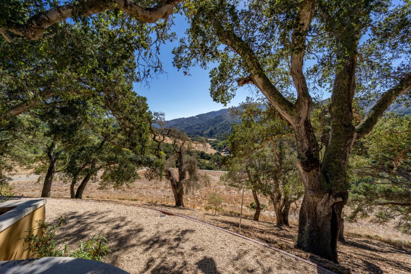 35 Rancho San Carlos Road Carmel, CA 93923 - Photo 38 of 47 a view of a yard with trees