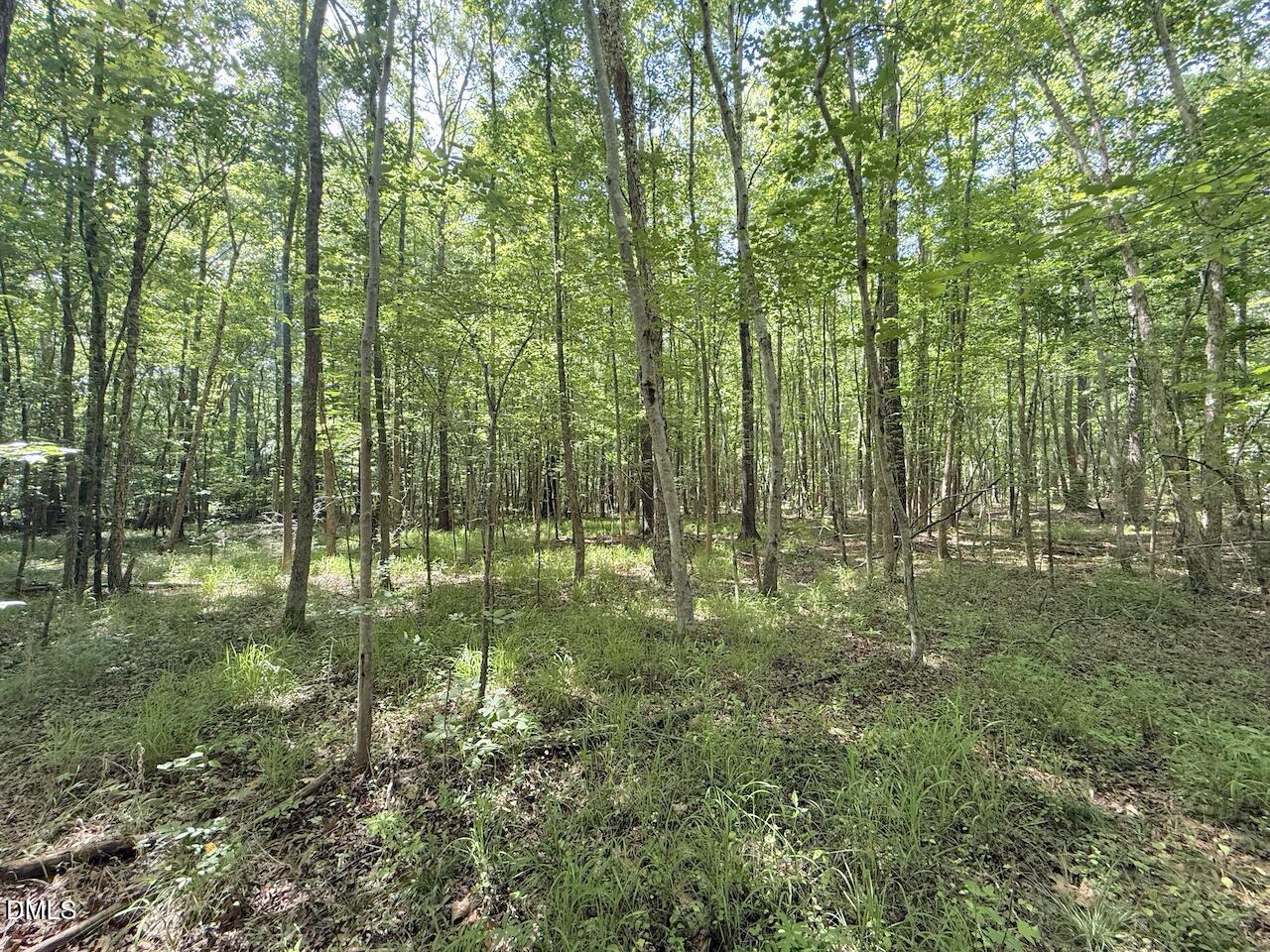 0 Tar River Road Oxford, NC 27565 - Photo 26 of 34 26