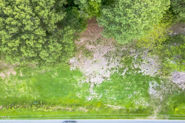 a view of a yard with plants