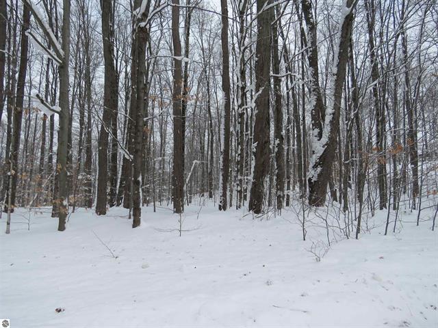 0 West 38 Road Harrietta, MI 49638 - Photo 1 of 5 1