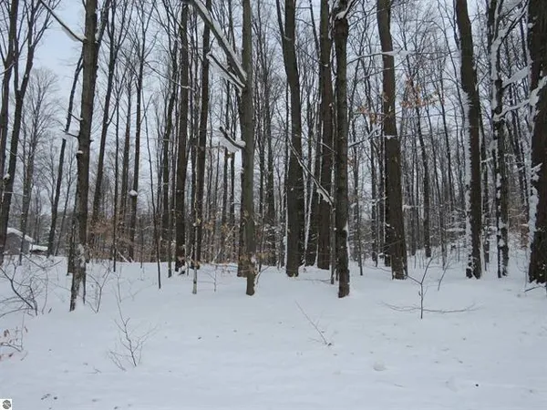 $9,600 | 0 West 38 Road, Harrietta, MI 49638