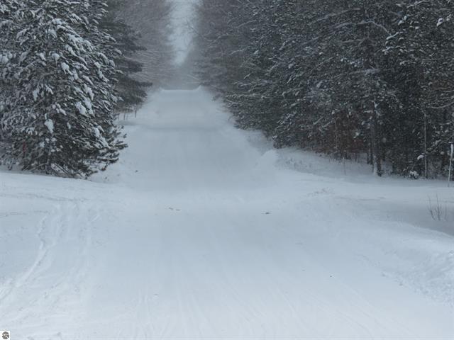 0 West 38 Road Harrietta, MI 49638 - Photo 3 of 5 3