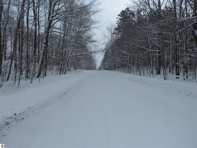 0 West 38 Road Harrietta, MI 49638 - Photo 4 of 5 4