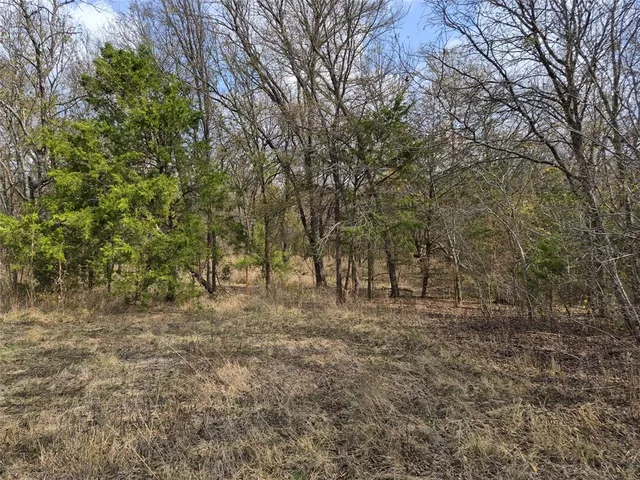 $249,000 | 1386 Palmyra Road, Palmer, TX 75152