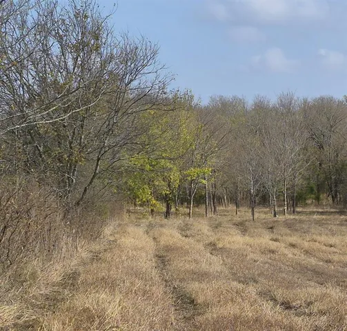 $249,000 | 1386 Palmyra Road, Palmer, TX 75152