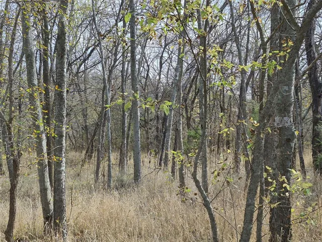 $249,000 | 1386 Palmyra Road, Palmer, TX 75152