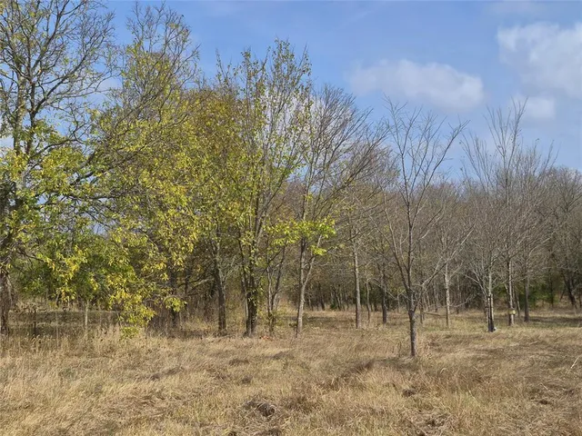 $249,000 | 1386 Palmyra Road, Palmer, TX 75152