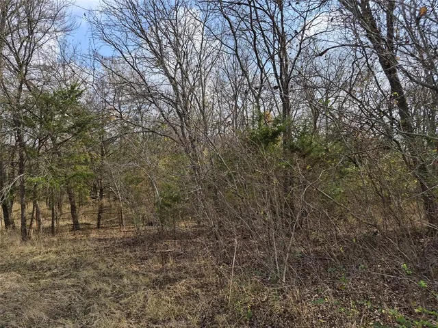 $249,000 | 1386 Palmyra Road, Palmer, TX 75152