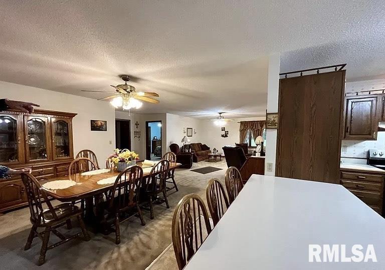 2705 Cobden School Road Cobden, IL 62920 - Photo 8 of 20 Gallery Image 8
