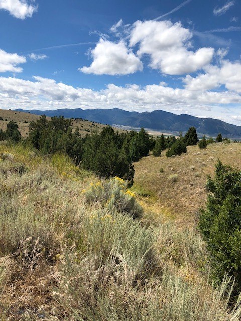 160-ac Bivens Creek Ridge Road Sheridan, MT 59749 - Photo 1 of 1 Gallery Image 1