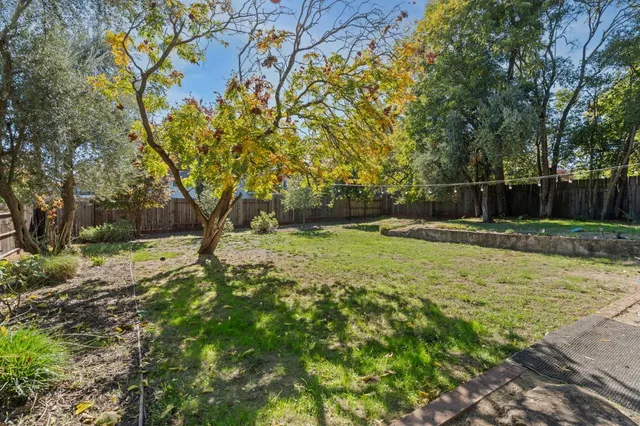 a view of outdoor space with deck and tree