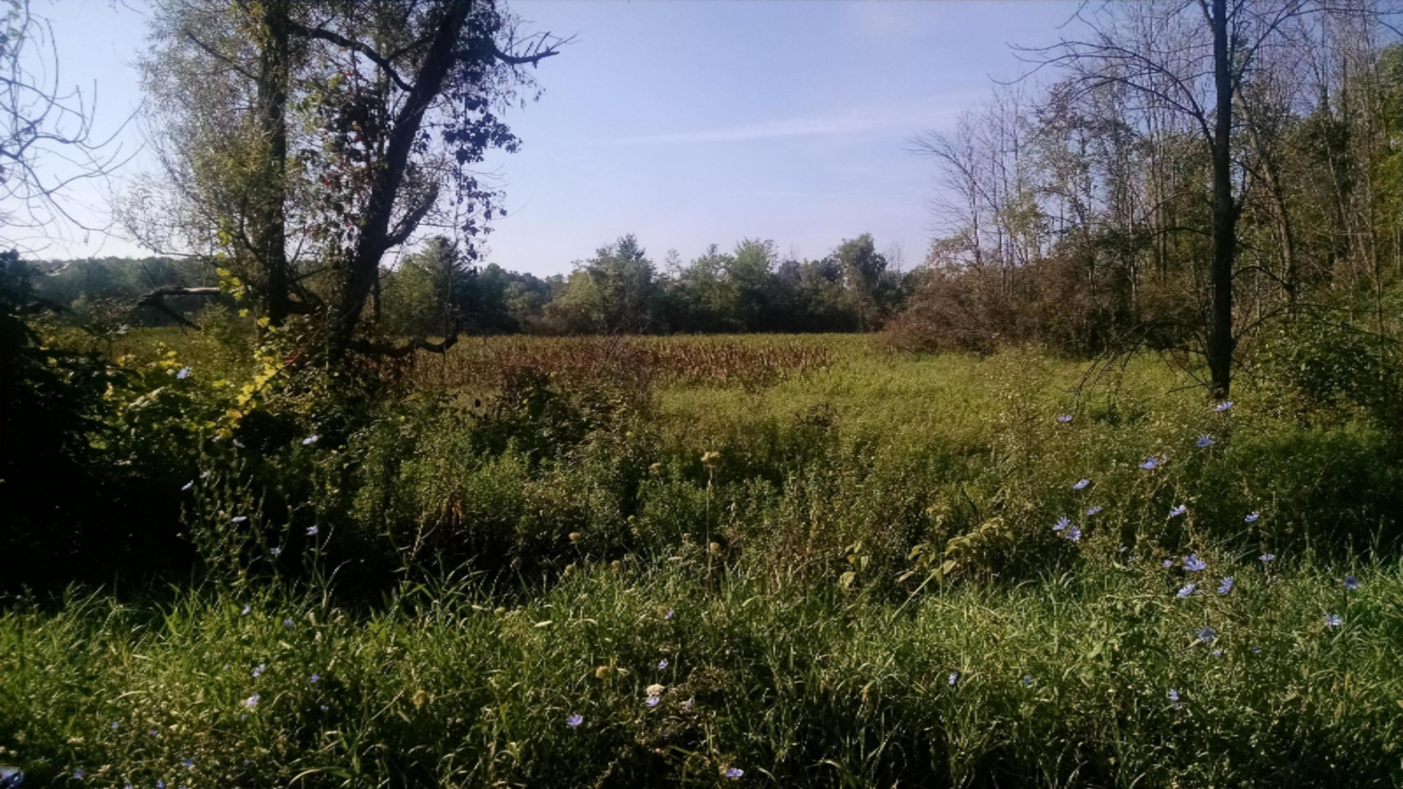 Osborne Road Delton, MI 49046 - Photo 11 of 11 Osborne (2)