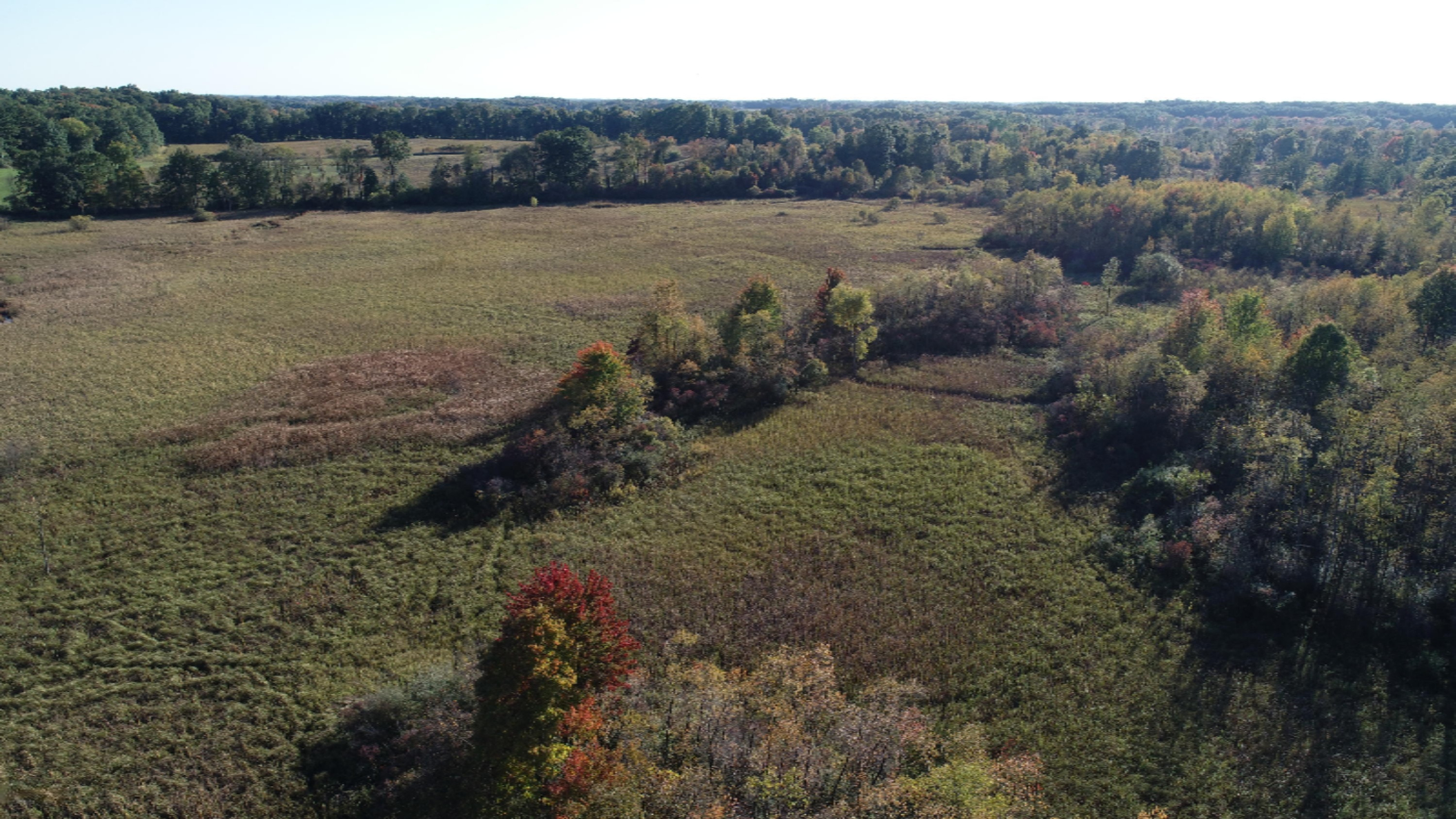 Osborne Road Delton, MI 49046 - Photo 4 of 11 DJI_0148