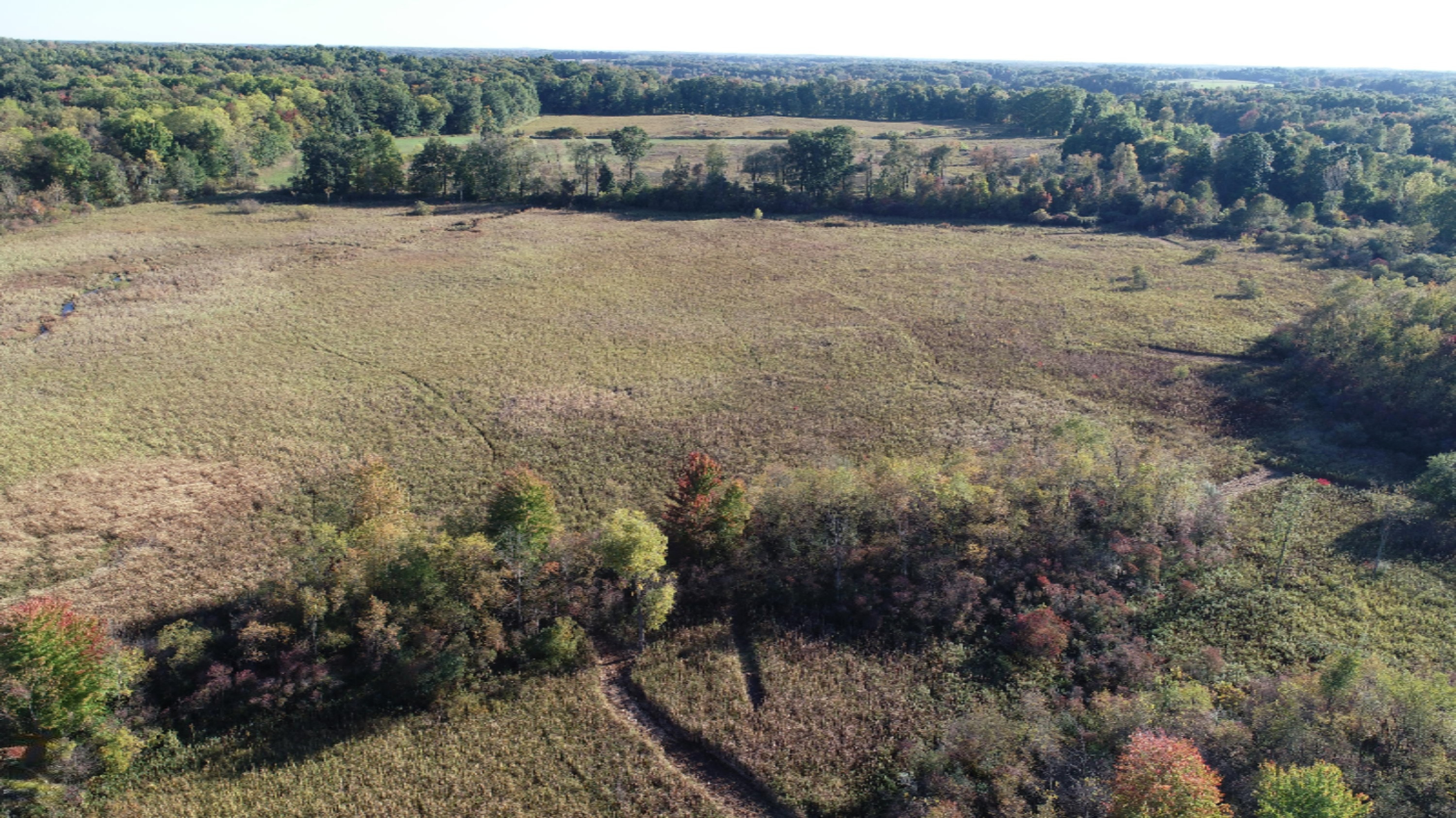 Osborne Road Delton, MI 49046 - Photo 5 of 11 DJI_0150