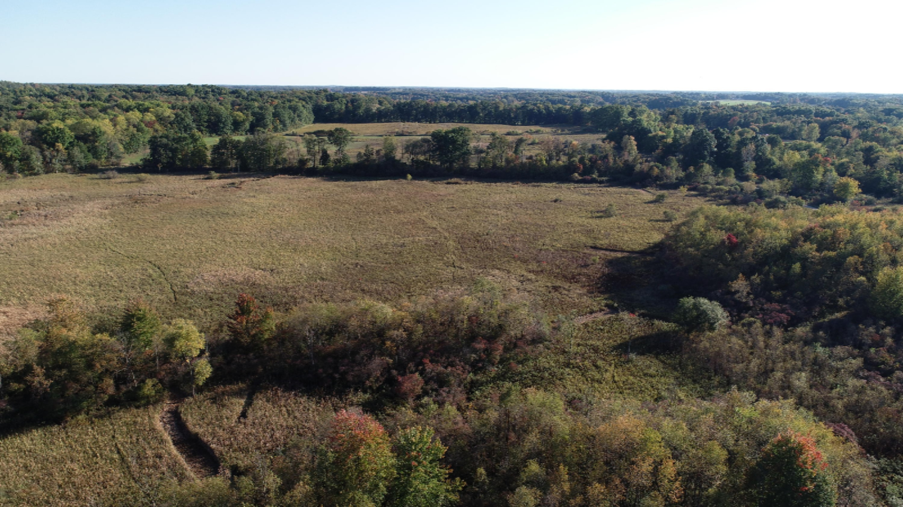 Osborne Road Delton, MI 49046 - Photo 7 of 11 DJI_0152