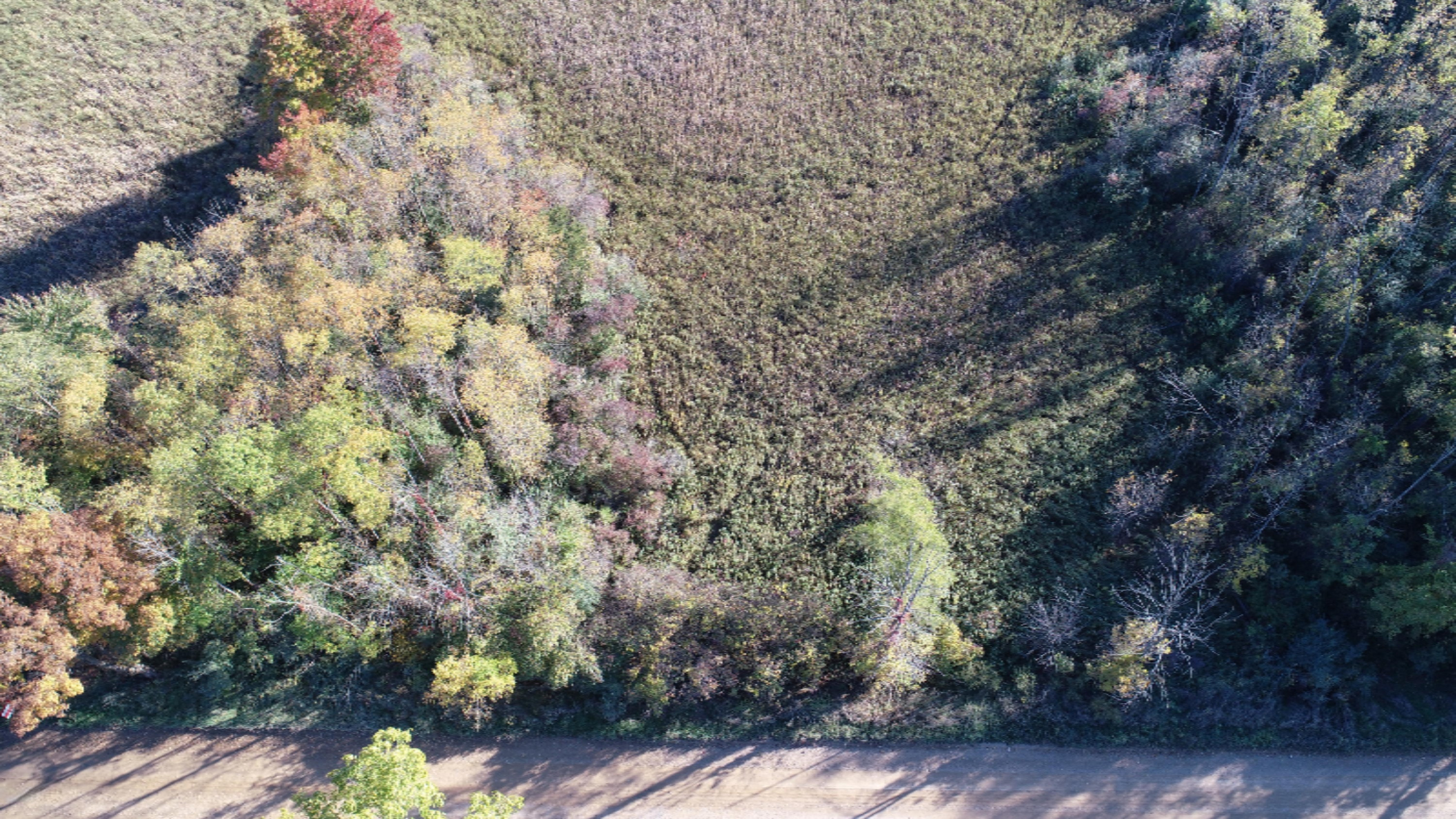 Osborne Road Delton, MI 49046 - Photo 8 of 11 DJI_0153