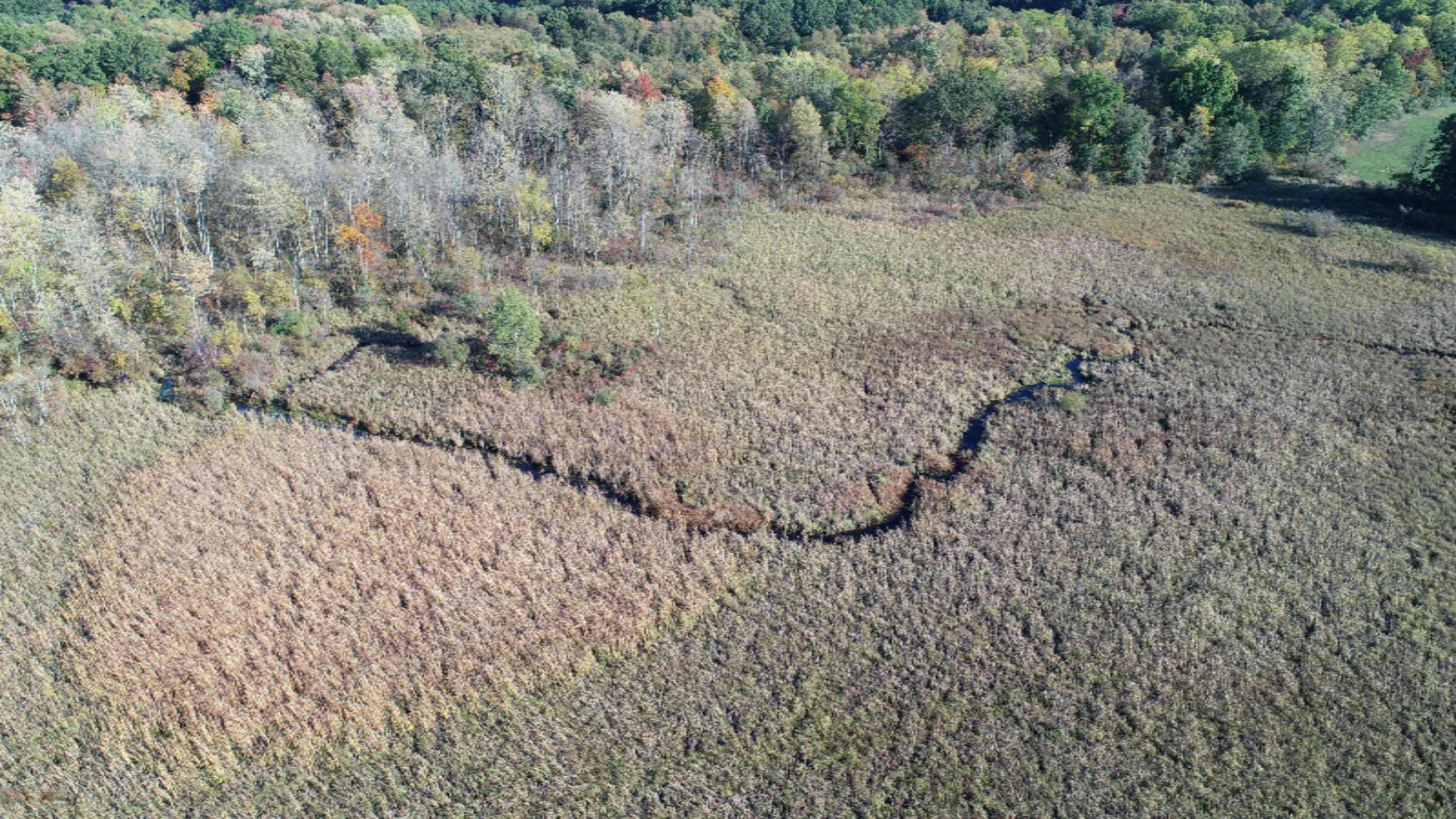 Osborne Road Delton, MI 49046 - Photo 10 of 11 DJI_0155