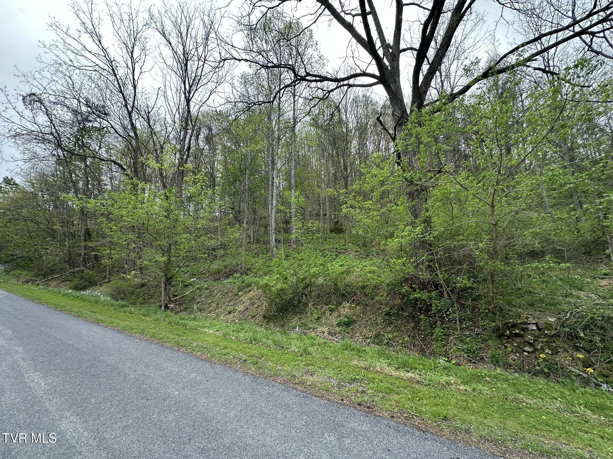10318 Caney Valley Road Bristol, VA 24202 - Photo 1 of 4 IMG_4798