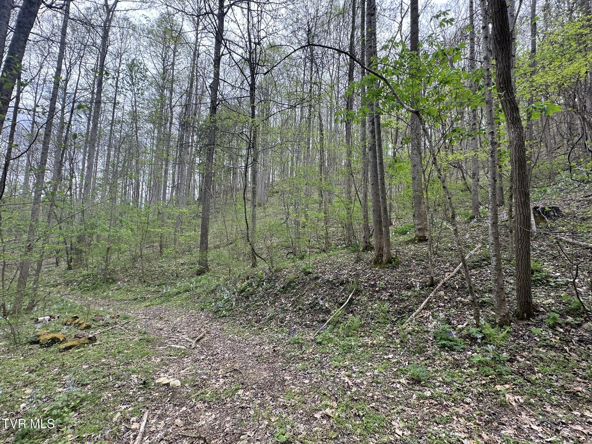 10318 Caney Valley Road Bristol, VA 24202 - Photo 2 of 4 IMG_4804