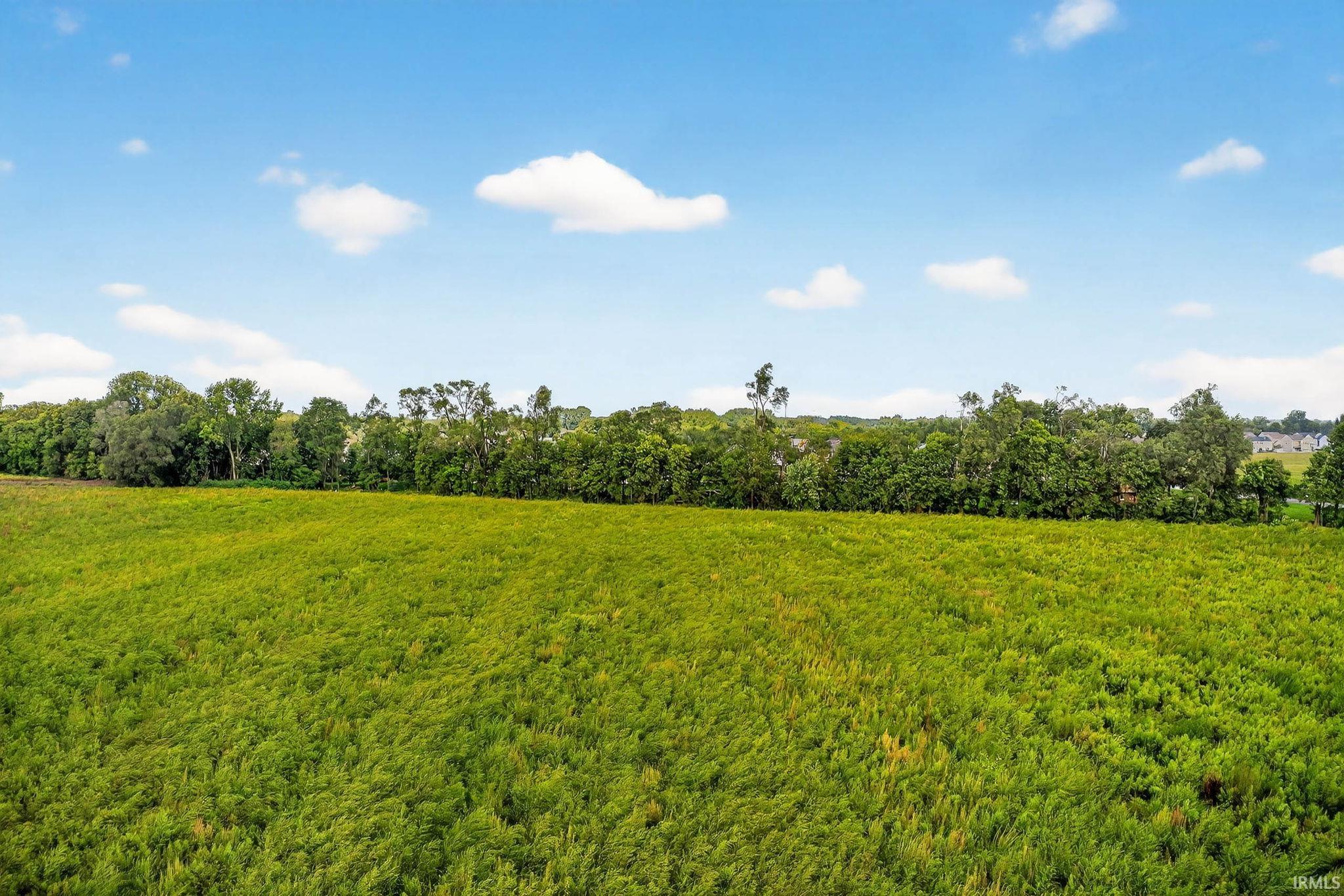 Vl Blackberry Road Mishawaka, IN 46544 - Photo 8 of 9