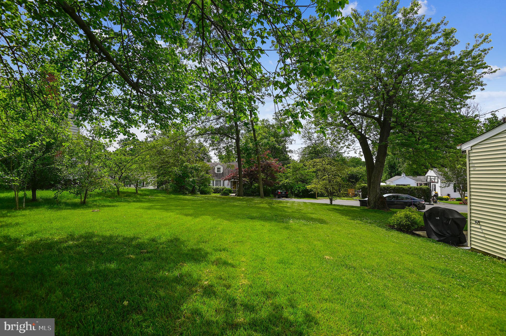 1111 Vernon Avenue Baltimore, MD 21229 - Photo 4 of 27 Backyard