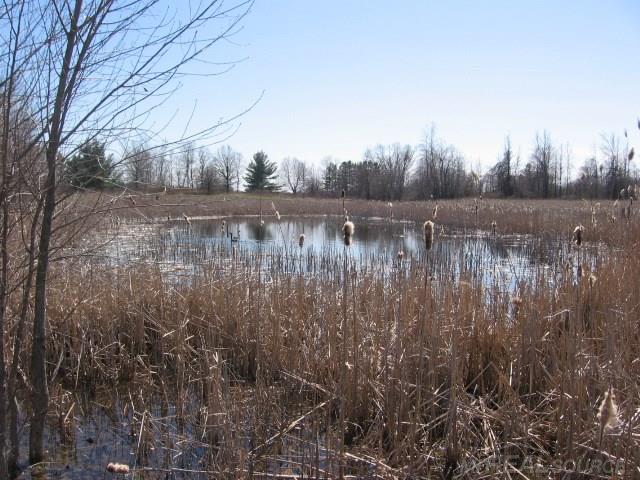 Vl Townsend Applegate, MI 48401 - Photo 16 of 31