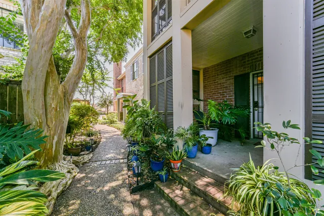 a view of a backyard with plants
