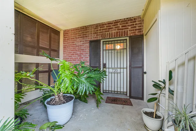 a potted plant in front of a house