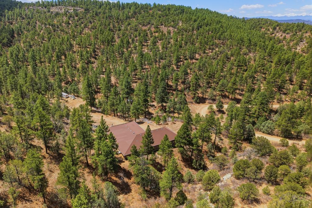 7880 Old Sopris Road Trinidad, CO 81082 - Photo 42 of 49 a view of a forest with a lake