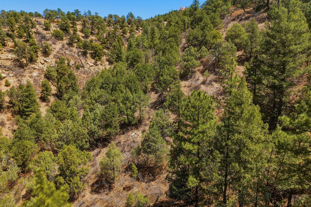 7880 Old Sopris Road Trinidad, CO 81082 - Photo 43 of 49 a view of a large yard with lots of bushes