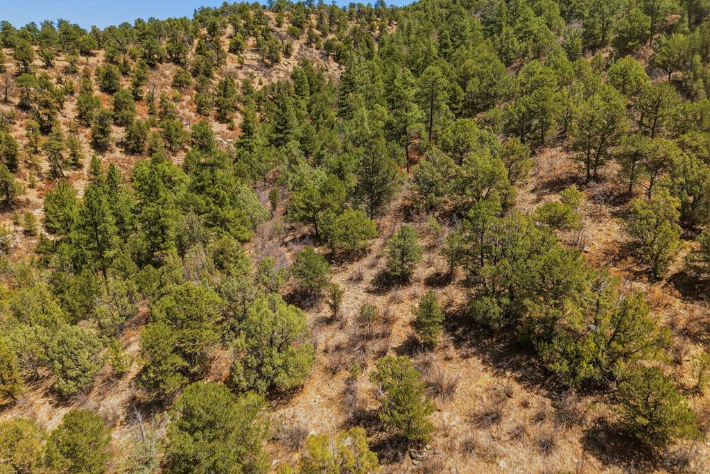 7880 Old Sopris Road Trinidad, CO 81082 - Photo 45 of 49 a view of a yard of a house