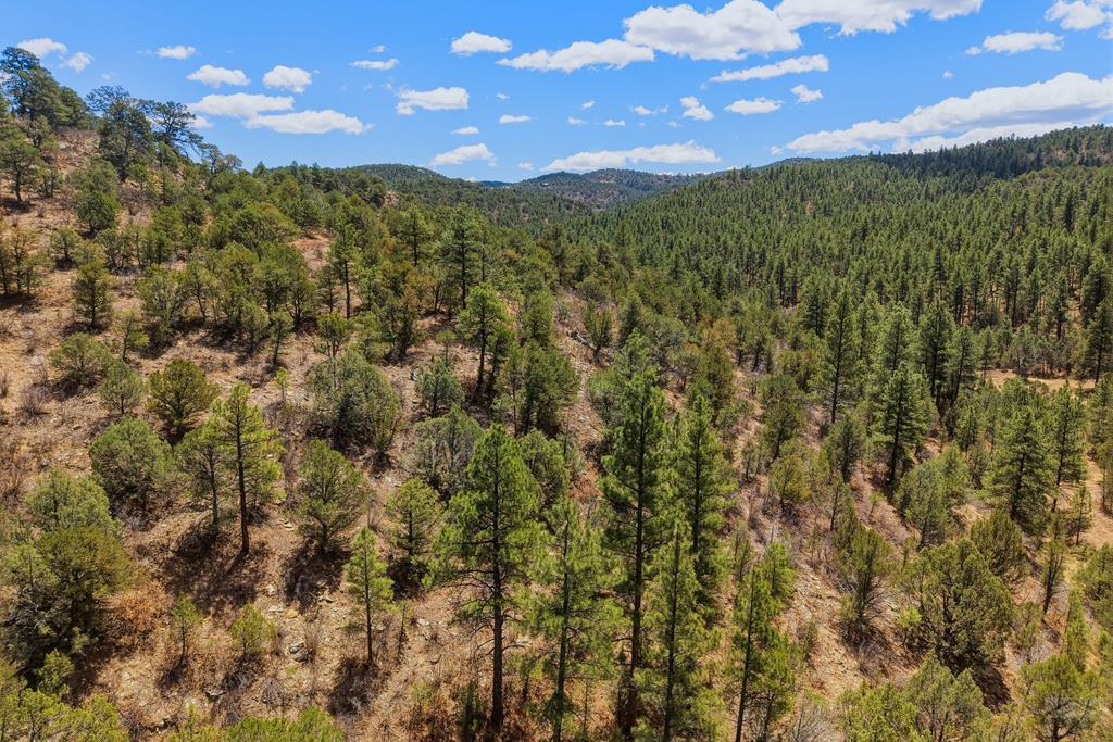 7880 Old Sopris Road Trinidad, CO 81082 - Photo 46 of 49 a view of a city