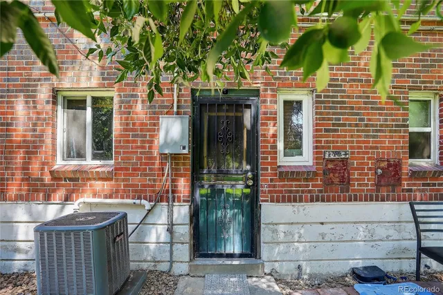 a view of a backyard with plants and large tree