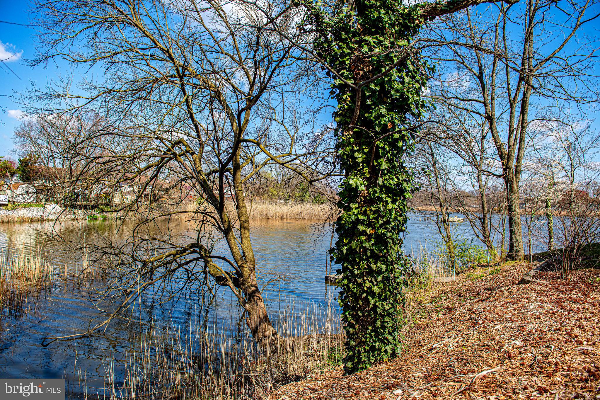 705 Riverside Drive Essex, MD 21221 - Photo 59 of 69