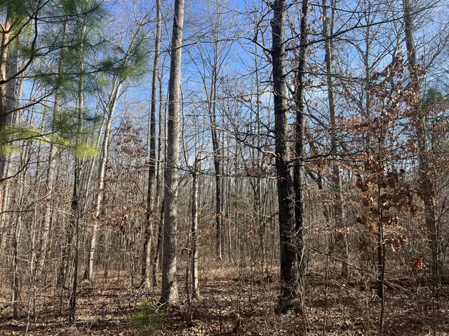 a backyard of a building