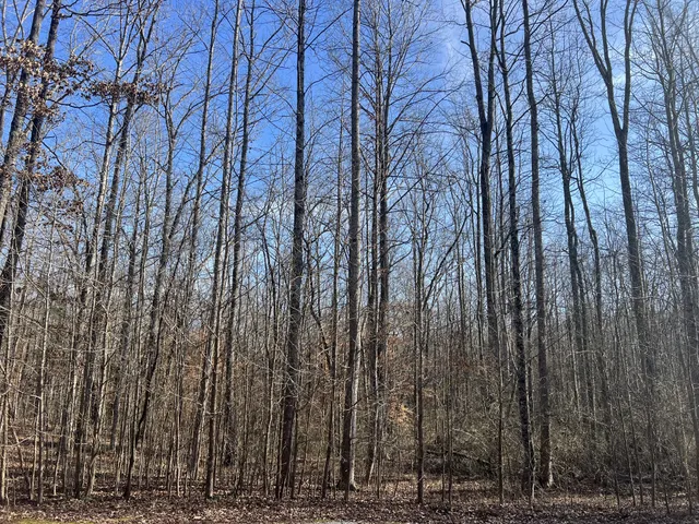 a view of backyard with wooden fence